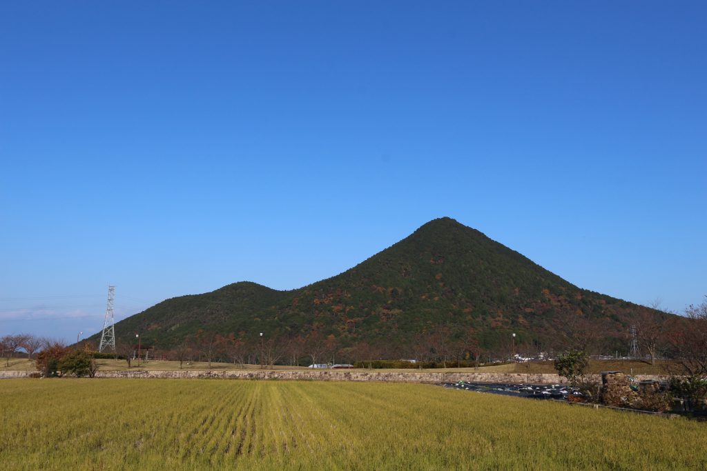 緑景を愉しむ家