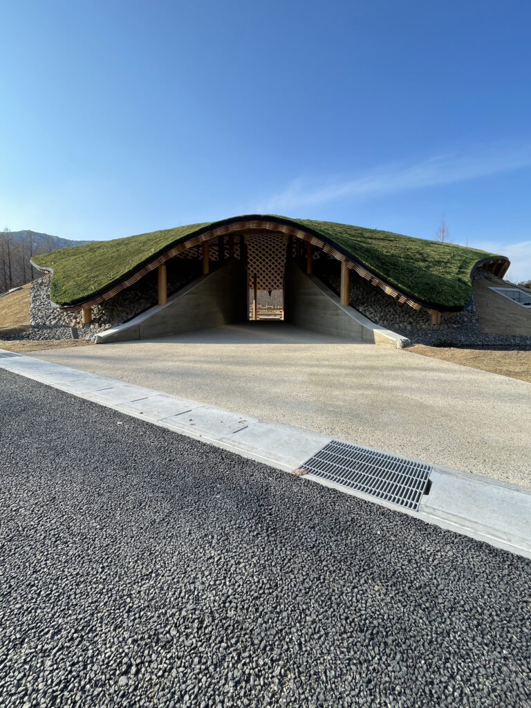 メタセコイアと馬の森