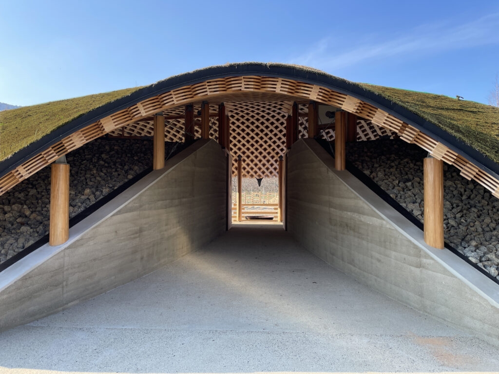 メタセコイアと馬の森