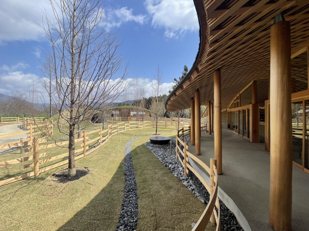 メタセコイアと馬の森