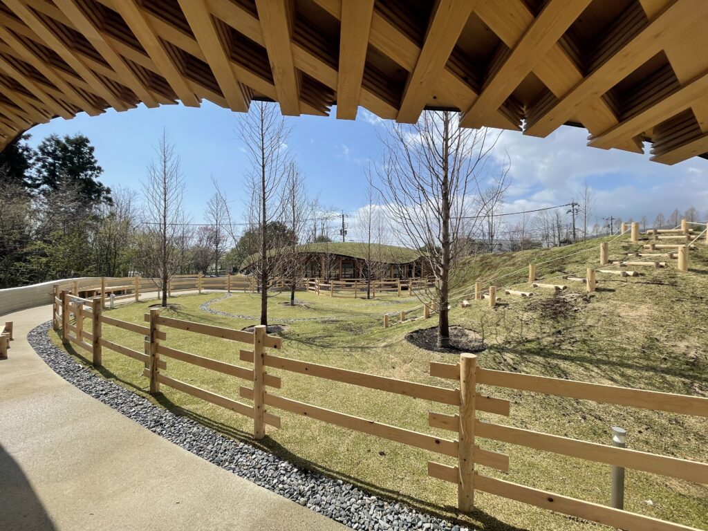 メタセコイアと馬の森