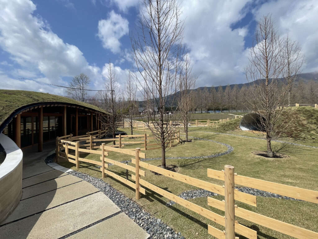 メタセコイアと馬の森