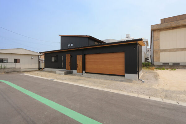 IMG_6310-2-3